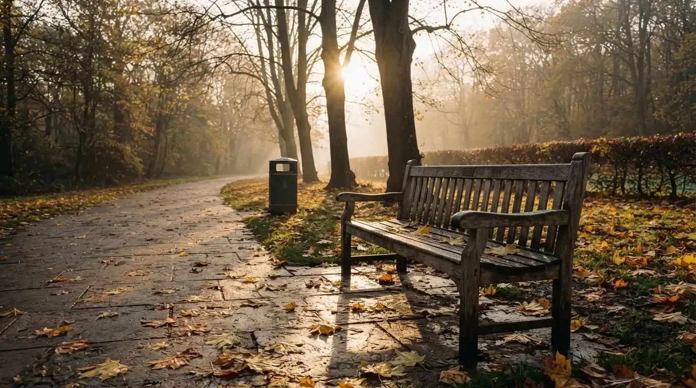 En tom parkbänk en höstmorgon, gula lönnlöv på stigen och låg sol mellan träden — svenska nätcasinon